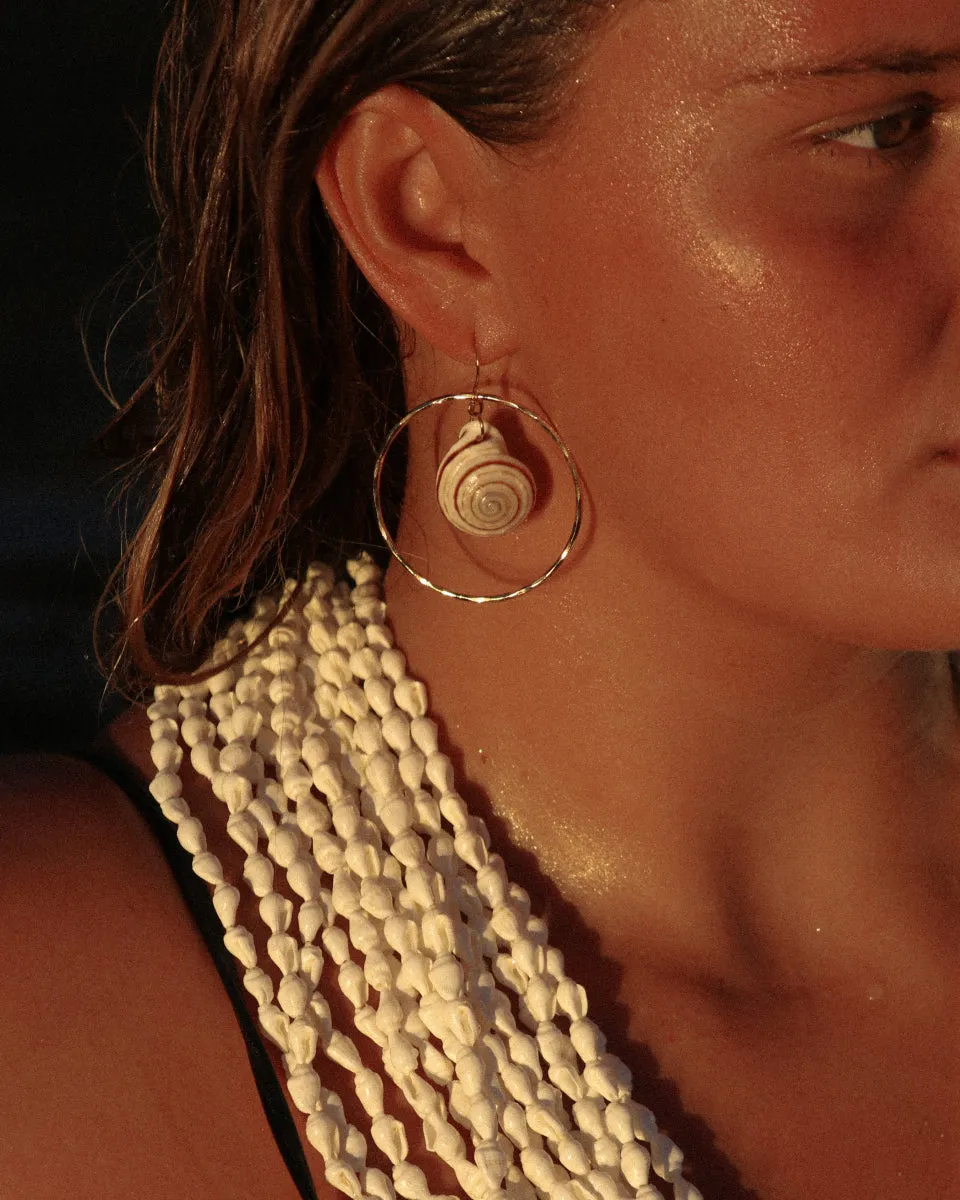 Hoop Earrings with Spiral Shell, Asstd